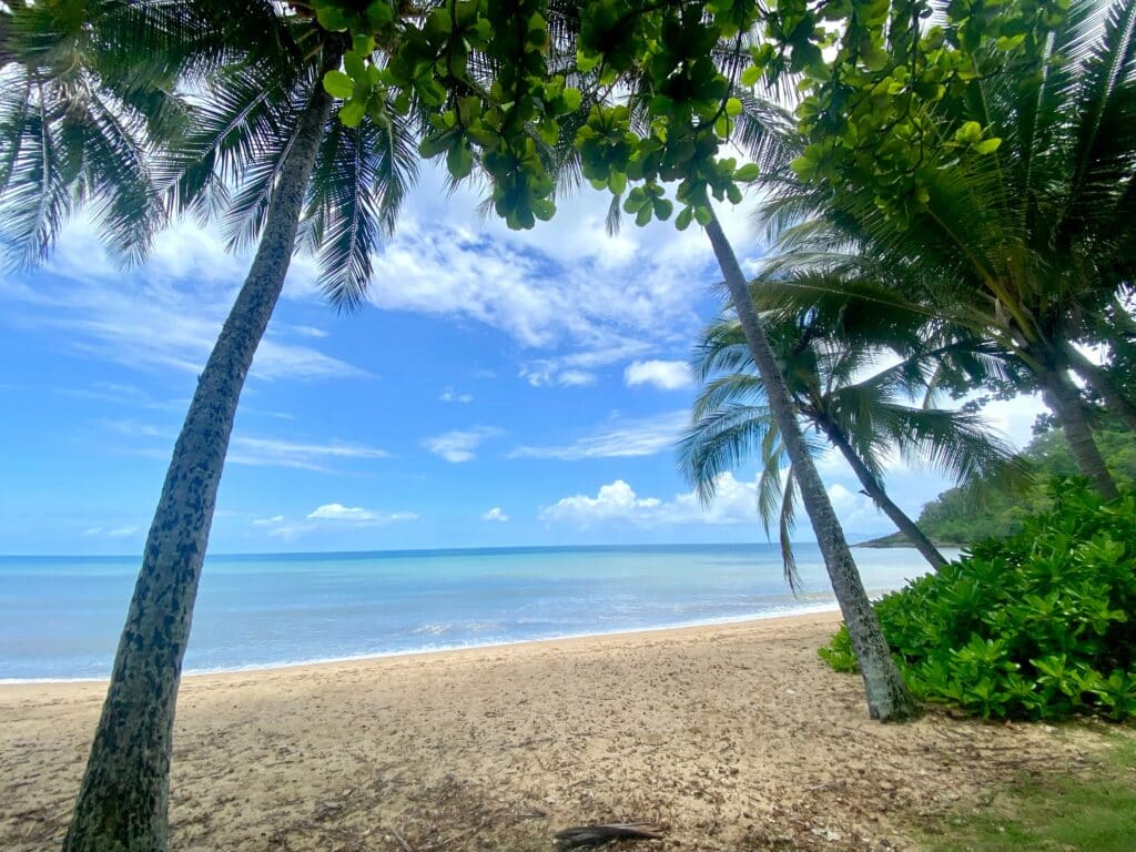 Cairns’ Best Beaches: Sun, Sand, and Seafood Delights