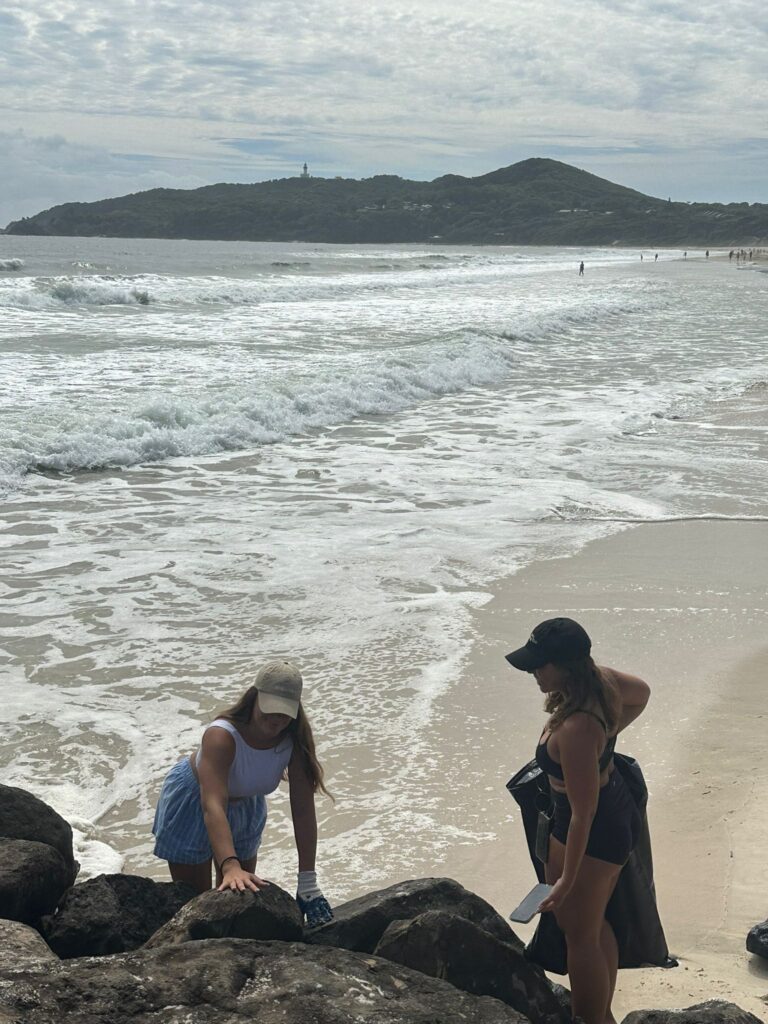 Clean up ANZ